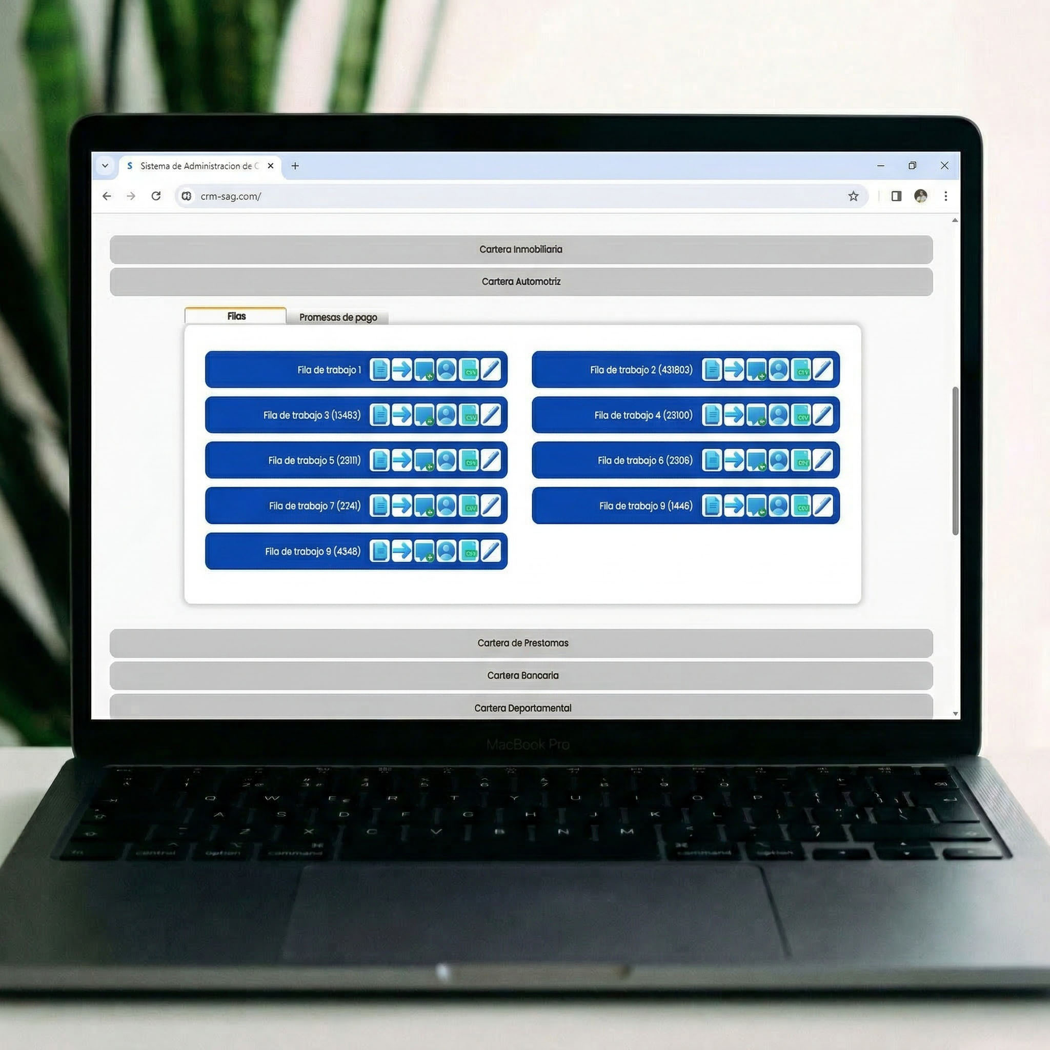 Administración del portafolio